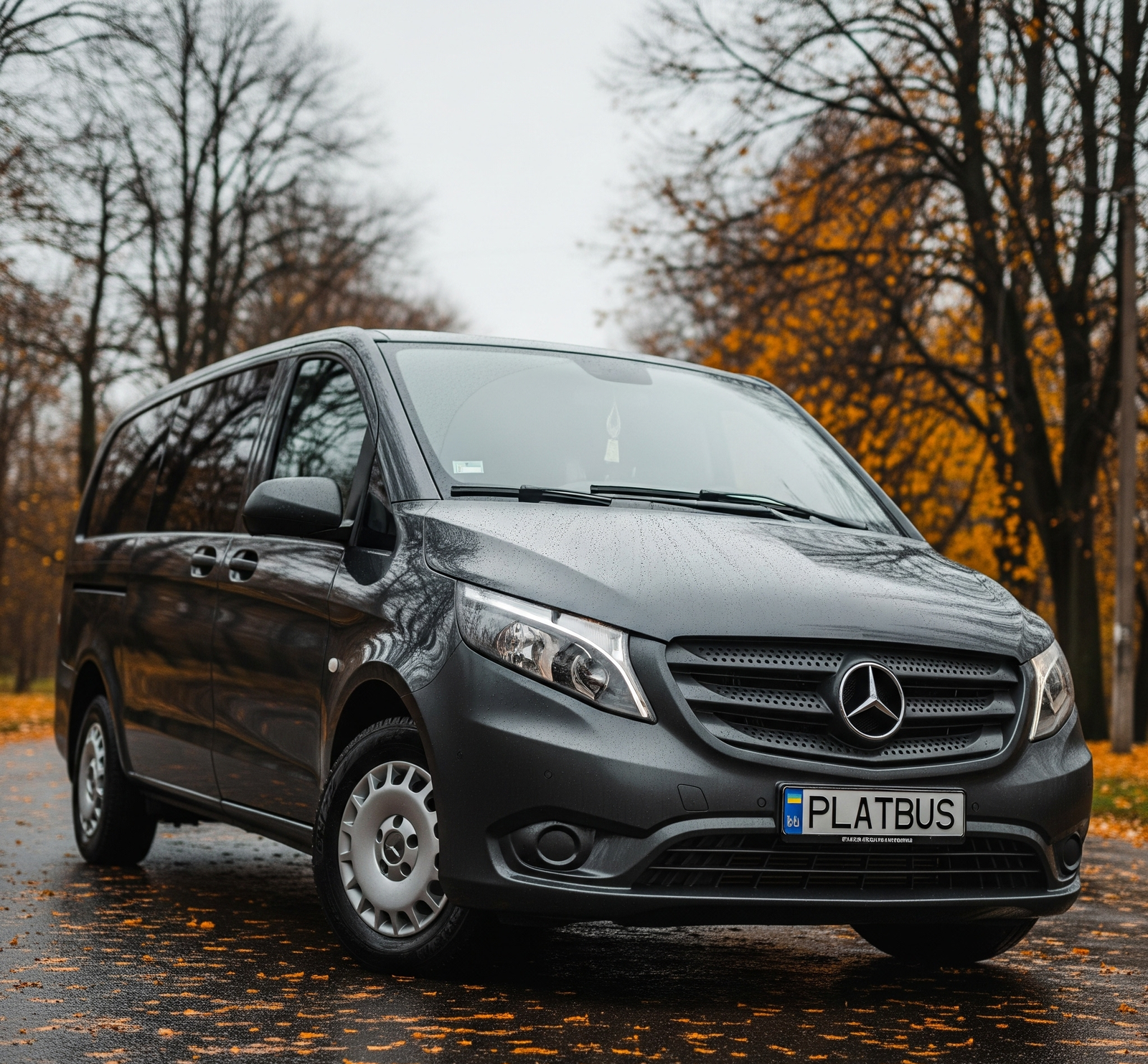 Transfer / Taxi / Transportation Iași – Medzhybizh – Uman